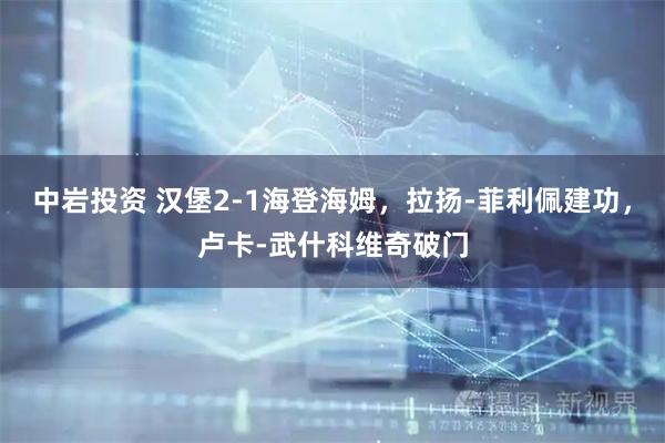 中岩投资 汉堡2-1海登海姆，拉扬-菲利佩建功，卢卡-武什科维奇破门