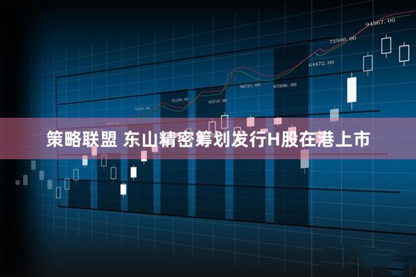 策略联盟 东山精密筹划发行H股在港上市