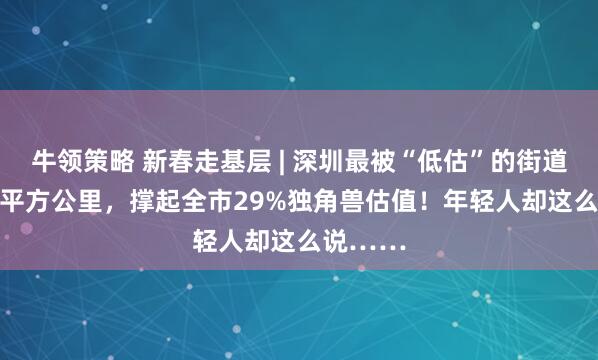 牛领策略 新春走基层 | 深圳最被“低估”的街道：21.8平方公里，撑起全市29%独角兽估值！年轻人却这么说……